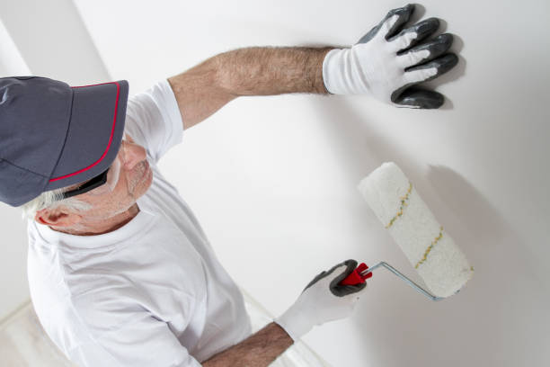 Best Mold Odor Removal Services  in Cross Lanes, WV