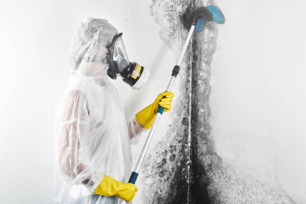 Best Residential Mold Inspection & Testing  in Cross Lanes, WV