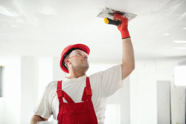 Best Real Estate Mold Inspection  in Cross Lanes, WV