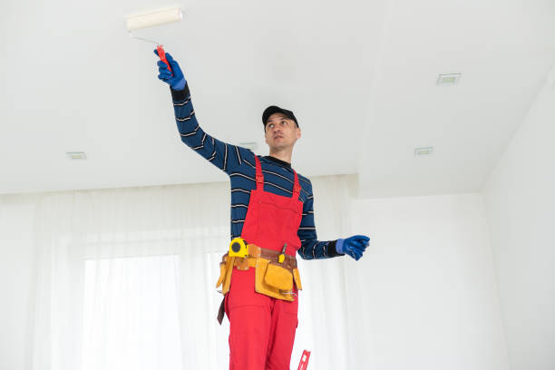 Best Attic Mold Removal  in Cross Lanes, WV