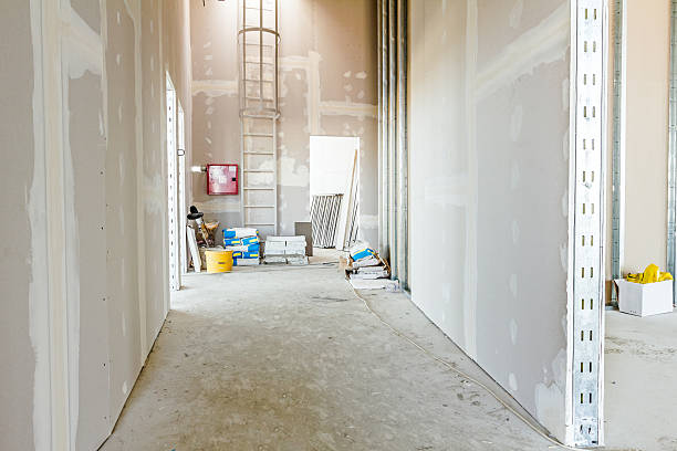 Best Forensic Mold Investigation  in Cross Lanes, WV