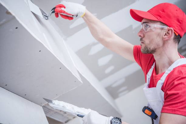 Professional Mold Removal in Cross Lanes, WV